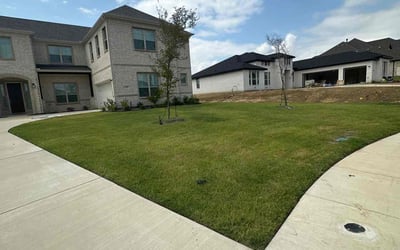 Photo of corey G.'s yard after getting lawn care in Sunnyvale, TX