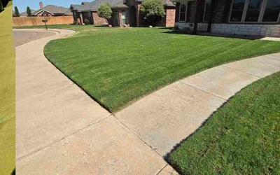 Photo of Kelly K.'s yard after getting lawn care in Manchester, NH