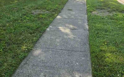 Photo of Jody C.'s yard after getting lawn care in Federal Way, WA