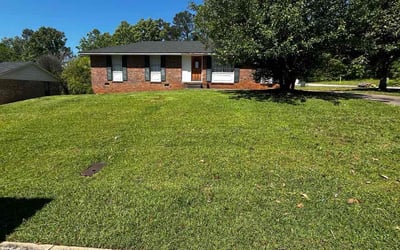 Photo of Lara W.'s yard after getting lawn care in Jonesboro, AR
