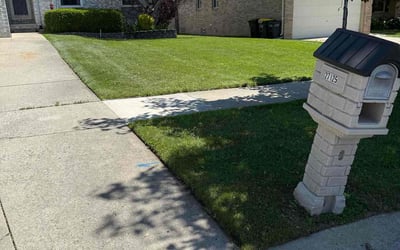 Photo of John D.'s yard after getting lawn care in Lincoln Park, MI