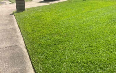 Photo of Brandon H.'s yard after getting lawn care in Brandon, MS