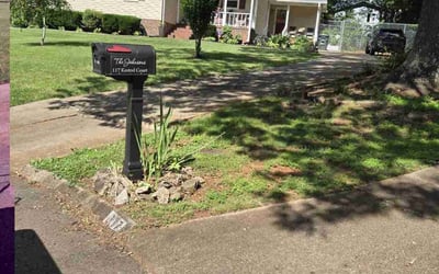 Photo of Heru B.'s yard after getting lawn care in Taylors, SC