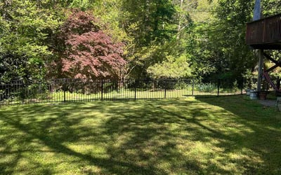 Photo of Durham M.'s yard after getting lawn care in Charlotte, NC