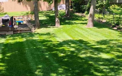 Photo of Jamecia B.'s yard after getting lawn care in Deer Park, NY