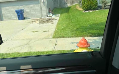 Photo of Mahala V.'s yard after getting lawn care in Odenton, MD
