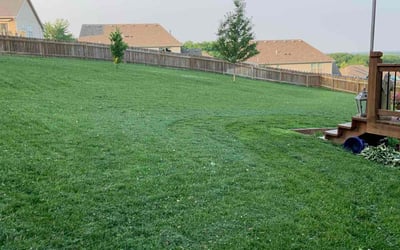Photo of Alex W.'s yard after getting lawn care in Kansas City, MO