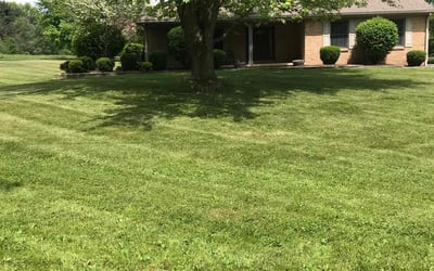 Photo of James B.'s yard after getting lawn care in Hubbard, OH