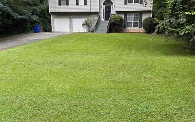 Photo of Penny L.'s yard after getting lawn care in Longmont, CO