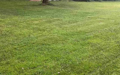 Photo of Joe O.'s yard after getting lawn care in Concord, NH