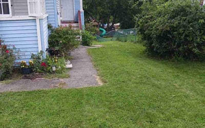 Photo of Sergio L.'s yard after getting lawn care in Auburn, MA