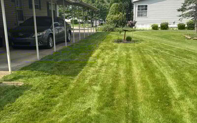 Photo of Andrea J.'s yard after getting lawn care in Pittsboro, NC