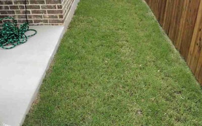 Photo of Cheryl M.'s yard after getting lawn care in East Haven, CT