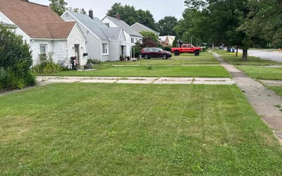 Photo of Guadalupe L.'s yard after getting lawn care in Collingswood, NJ