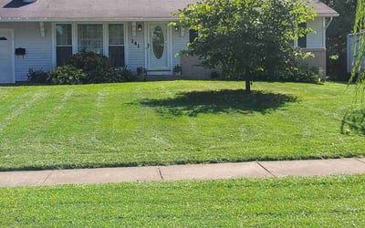 Photo of Diana P.'s yard after getting lawn care in Saginaw, TX