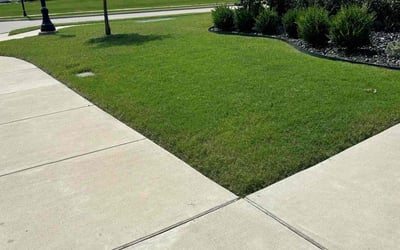 Photo of Jane L.'s yard after getting lawn care in Lake Oswego, OR