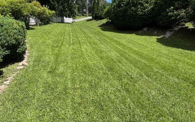 Photo of Beau M.'s yard after getting lawn care in East Ridge, TN