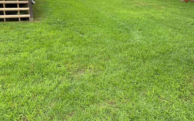 Photo of Robert M.'s yard after getting lawn care in Prince George, VA