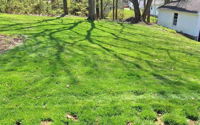 Photo of Robert A.'s yard after getting lawn care in Wadsworth, OH