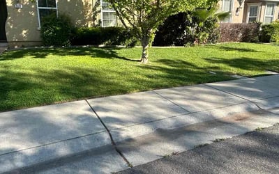 Photo of Sarah H.'s yard after getting lawn care in Denver, CO