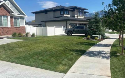 Photo of Alan T.'s yard after getting lawn care in Riverton, UT