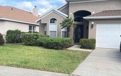 Photo of Luis C.'s yard after getting lawn care in Orlando, FL