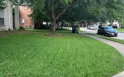 Photo of Jordan H.'s yard after getting lawn care in Bay Shore, NY