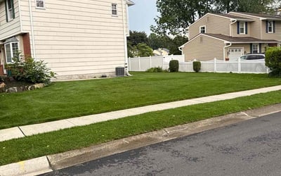 Photo of Serena C.'s yard after getting lawn care in Renton, WA