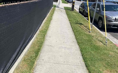 Photo of Gladys B.'s yard after getting lawn care in Downey, CA