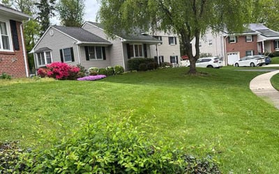 Photo of John D.'s yard after getting lawn care in Haddonfield, NJ