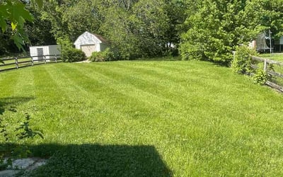 Photo of John S.'s yard after getting lawn care in Walton, KY