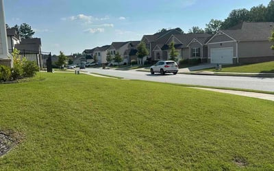 Photo of Corbin B.'s yard after getting lawn care in Apex, NC