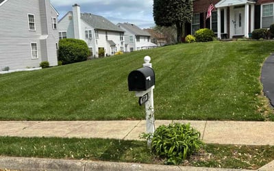 Photo of Lisa L.'s yard after getting lawn care in Manassas, VA