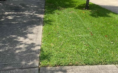 Photo of Cynthia B.'s yard after getting lawn care in Imperial, MO