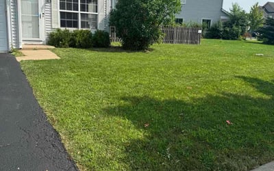 Photo of Karina S.'s yard after getting lawn care in Bloomfield, NJ