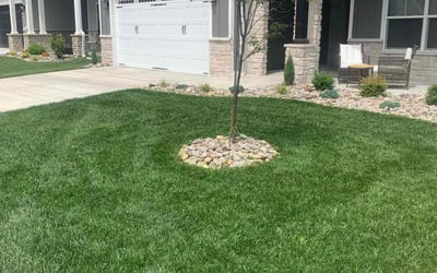 Photo of Floyd H.'s yard after getting lawn care in Salem, IN