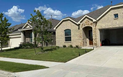 Photo of Dana W.'s yard after getting lawn care in Addison, TX