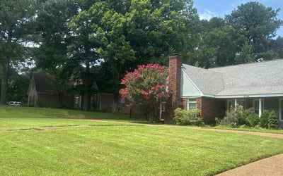Photo of Hal M.'s yard after getting lawn care in Germantown, TN