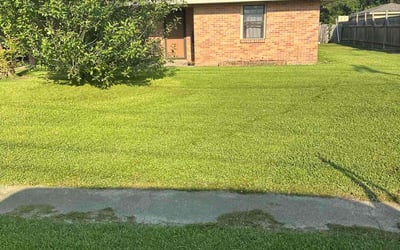 Photo of Jan A.'s yard after getting lawn care in Troy, MI