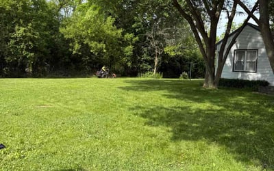 Photo of Phyllis H.'s yard after getting lawn care in Chicopee, MA