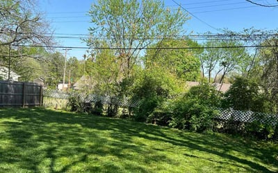 Photo of Brian F.'s yard after getting lawn care in Kansas City, MO