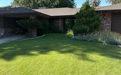 Photo of Shawnice W.'s yard after getting lawn care in Bakersfield, CA