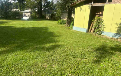 Photo of Daniel P.'s yard after getting lawn care in Aliquippa, PA