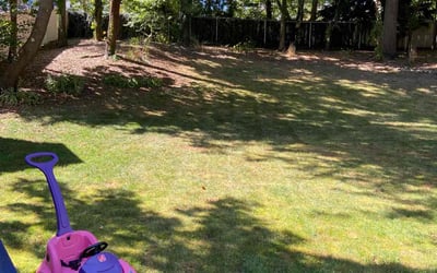 Photo of Anthony P.'s yard after getting lawn care in Marshfield, MA