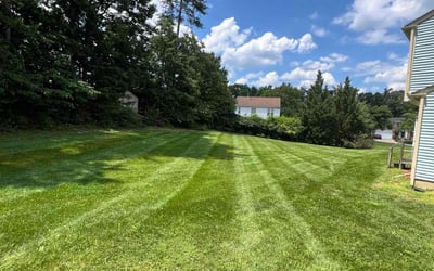 Photo of Koushik N.'s yard after getting lawn care in Brunswick, MD