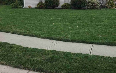 Photo of Anthony B.'s yard after getting lawn care in Corydon, IN