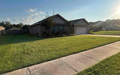 Photo of Joanna P.'s yard after getting lawn care in Mobile, AL
