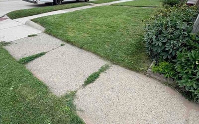 Photo of Hanna A.'s yard after getting lawn care in Monongahela, PA