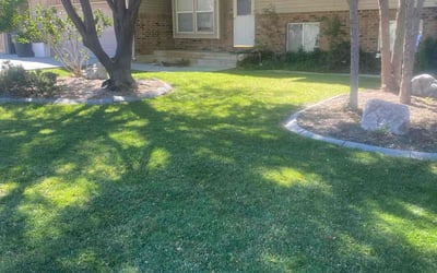 Photo of Joann H.'s yard after getting lawn care in Brigham City, UT