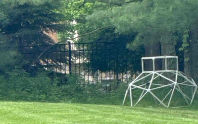 Photo of Chris D.'s yard after getting lawn care in Warren, NJ